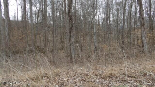 TRACT24 Beaver Ln, Gainesboro, TN 38562