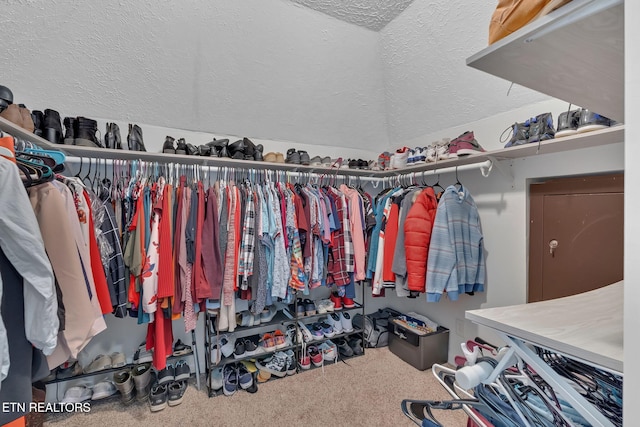 spacious closet with carpet floors