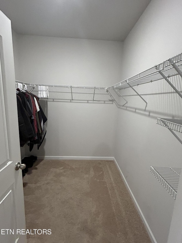 spacious closet with carpet