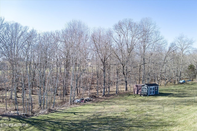 view of yard featuring a storage shed, an outdoor structure, and fence