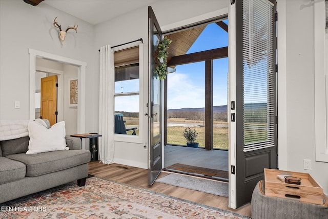 entryway with a mountain view and wood finished floors