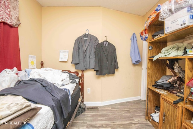 walk in closet featuring wood finished floors