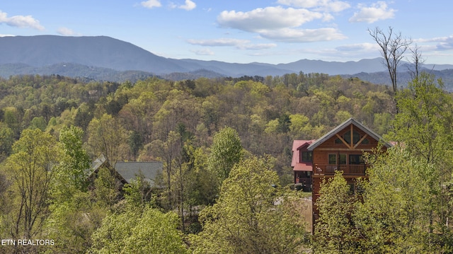 view of mountain feature with a wooded view