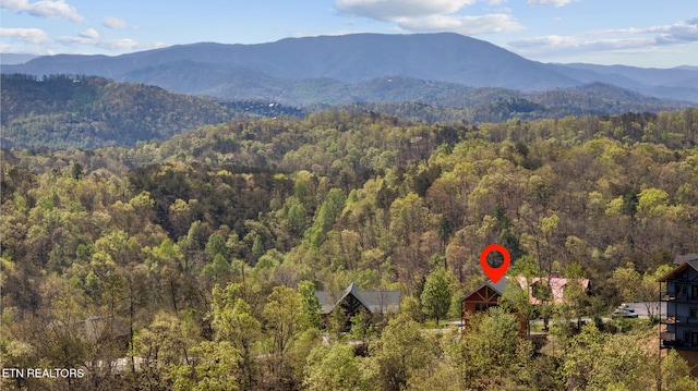 view of mountain feature with a forest view