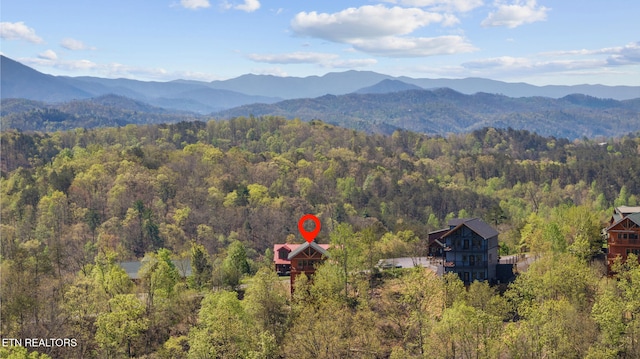 view of mountain feature with a forest view