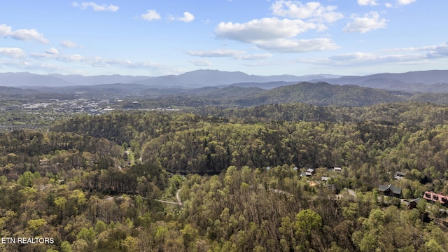 property view of mountains with a wooded view