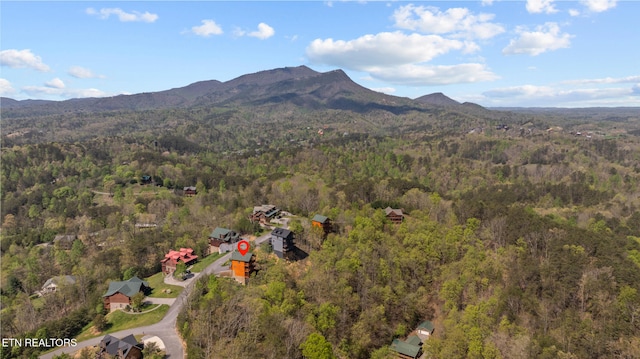 birds eye view of property featuring a mountain view and a forest view