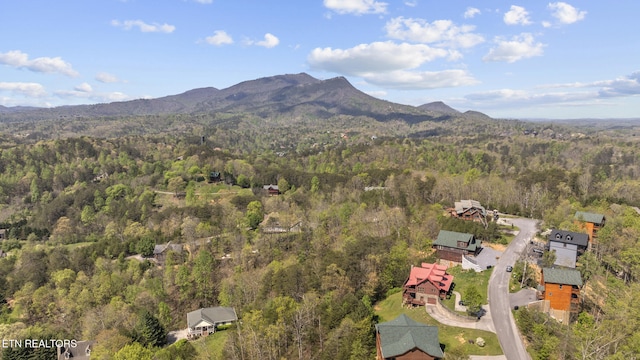 bird's eye view featuring a mountain view and a forest view