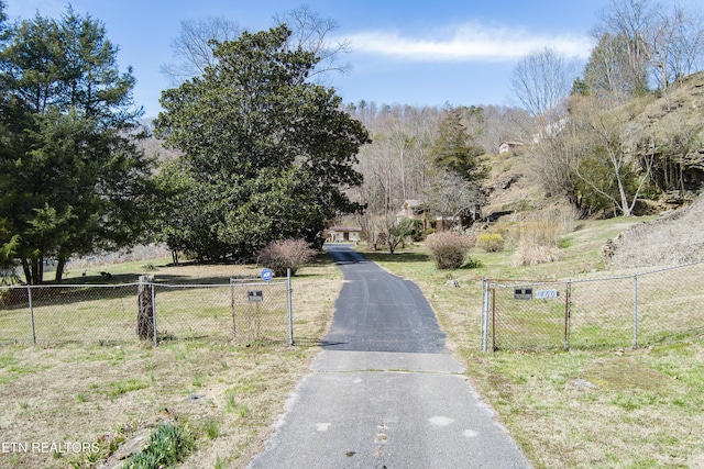 view of road featuring aphalt driveway and a gated entry