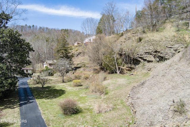 exterior space with aphalt driveway and a forest view