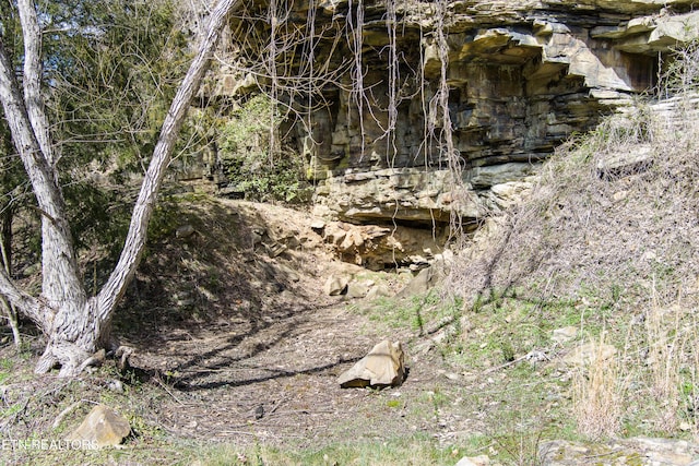 view of local wilderness