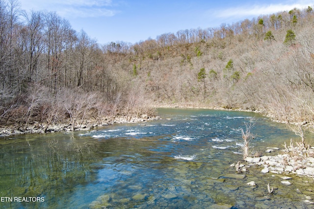 property view of water featuring a view of trees