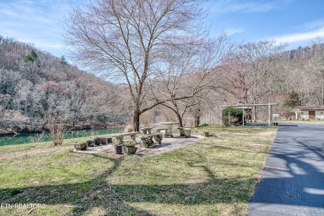 view of yard featuring a forest view and a water view