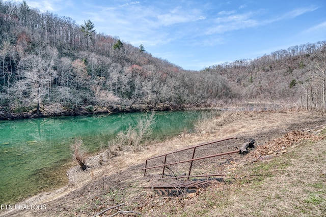 property view of water featuring a view of trees