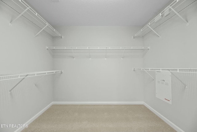 spacious closet with carpet floors