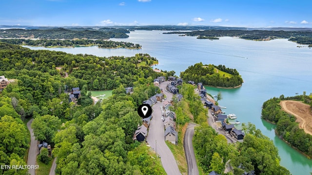 1358 Lake Haven Way, Sevierville, TN 37876 - photo 5