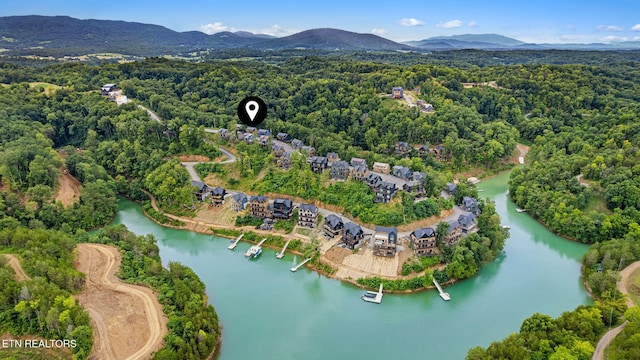 1358 Lake Haven Way, Sevierville, TN 37876 - photo 6