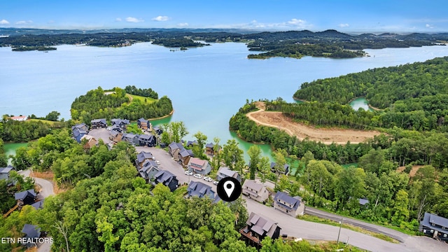 1358 Lake Haven Way, Sevierville, TN 37876 - photo 36