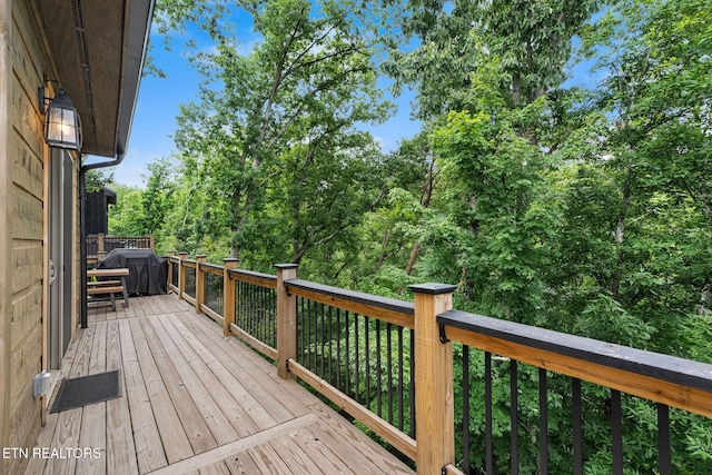 1358 Lake Haven Way, Sevierville, TN 37876 - photo 33