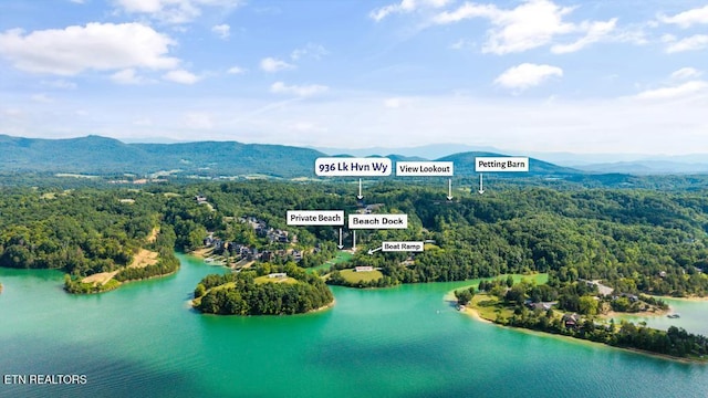 1358 Lake Haven Way, Sevierville, TN 37876 - photo 4
