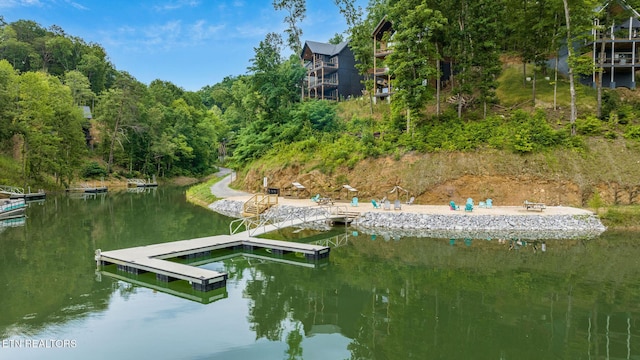 232 Jolene Way, Sevierville, TN 37876 - photo 5