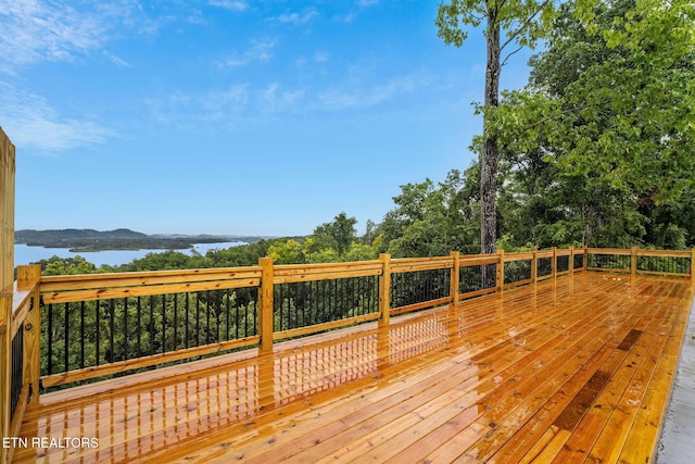 232 Jolene Way, Sevierville, TN 37876 - photo 45