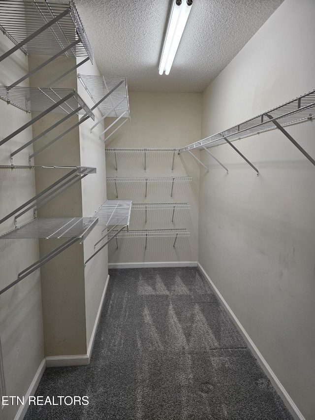 spacious closet with dark colored carpet