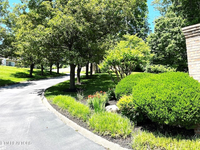 2442 Chastity Way, Knoxville, TN 37909 - view of property's community