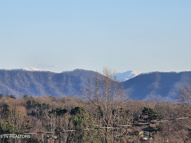 view of mountain feature with a forest view