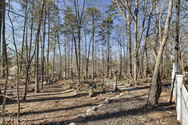 view of nature featuring a wooded view