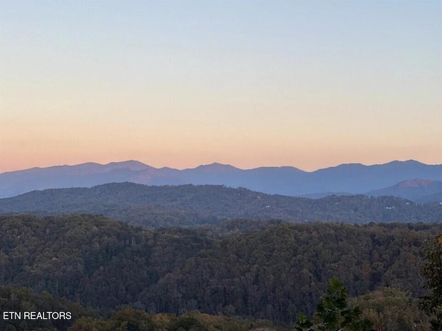 view of mountain feature with a wooded view