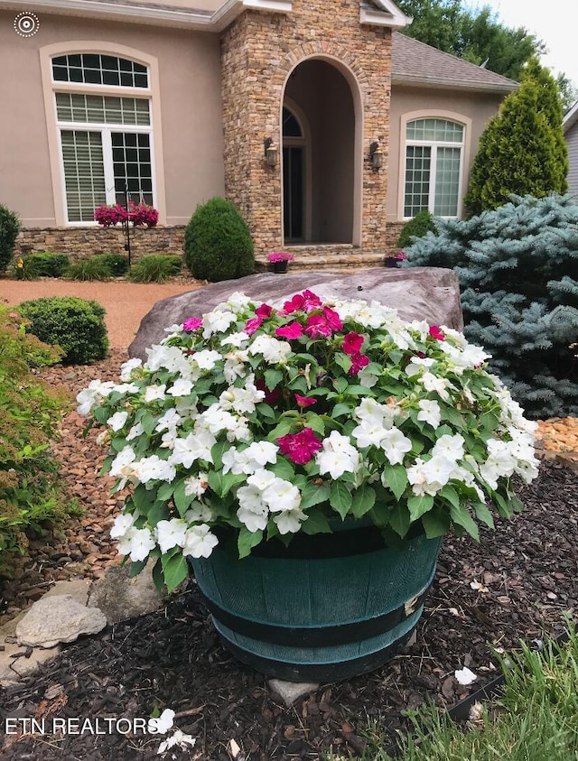 details with stucco siding and stone siding