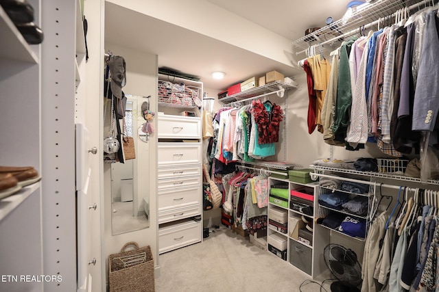 spacious closet with light carpet