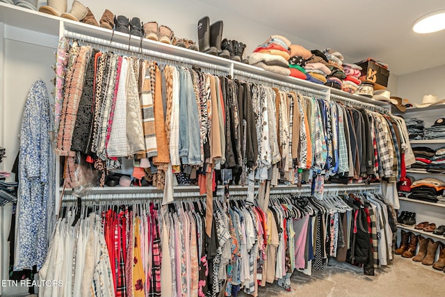 spacious closet featuring carpet