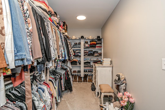 walk in closet featuring carpet flooring