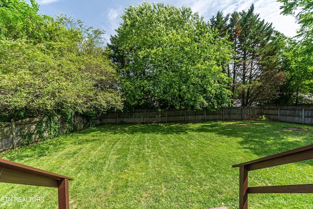 4404 Aylesbury Dr, Knoxville, TN 37918 - view of yard
