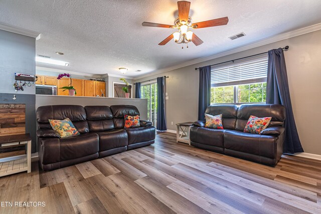 4404 Aylesbury Dr, Knoxville, TN 37918 - living room with a ceiling fan, wood finished floors, crown molding, a textured ceiling, and baseboards