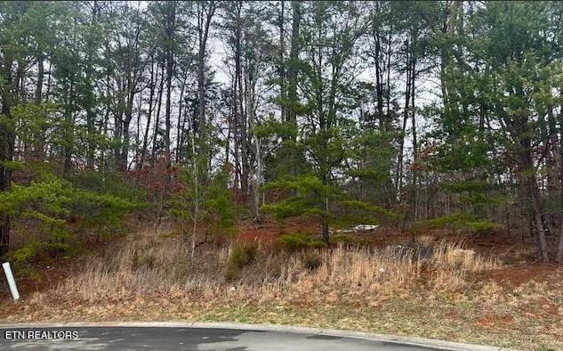 1701 Sierra Ln, Sevierville TN, 37862 land for sale