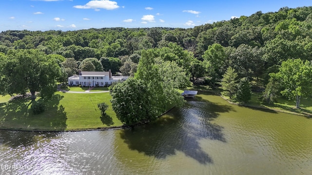 drone / aerial view with a water view and a view of trees