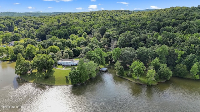 bird's eye view featuring a water view and a wooded view