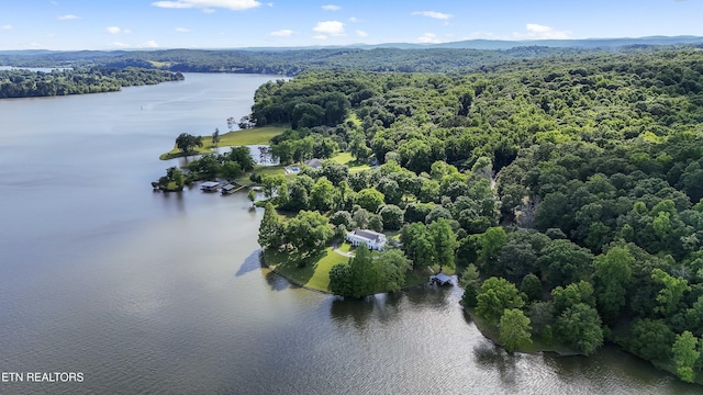 bird's eye view featuring a wooded view and a water view