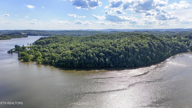 birds eye view of property featuring a forest view and a water view