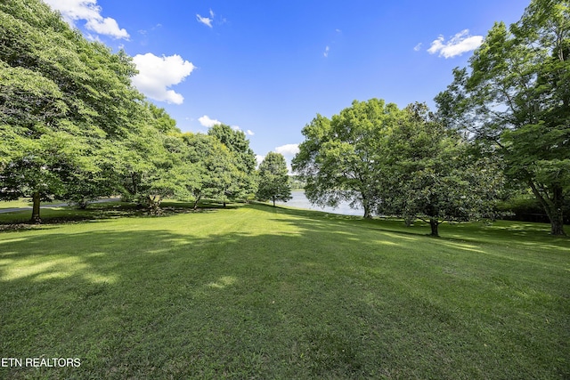 view of yard featuring a water view