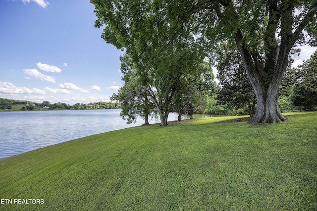 property view of water