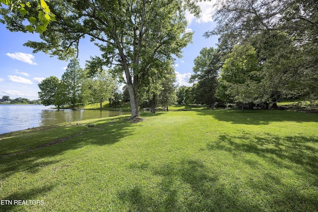 view of yard with a water view