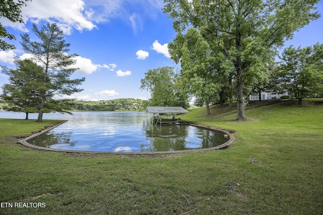 view of water feature with a dock