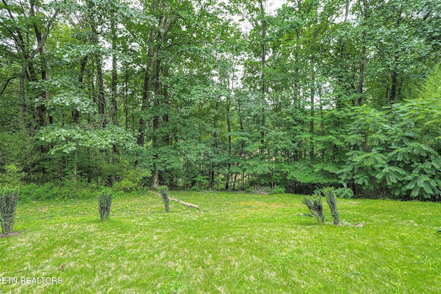 106 Wood Ridge Ln, Oak Ridge, TN 37830 - view of grassy yard with a view of trees