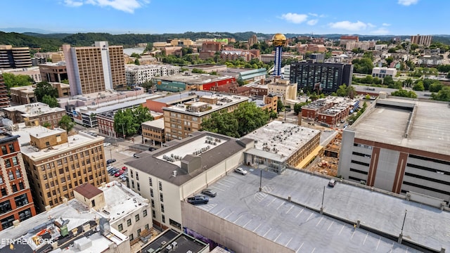 440 Walnut St, Knoxville, TN 37902 - photo 6