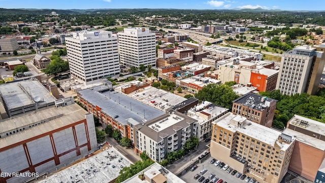 440 Walnut St, Knoxville, TN 37902 - photo 8