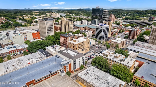 440 Walnut St, Knoxville, TN 37902 - photo 9